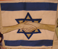 Friends of Israel Patches for Peace quilt block
